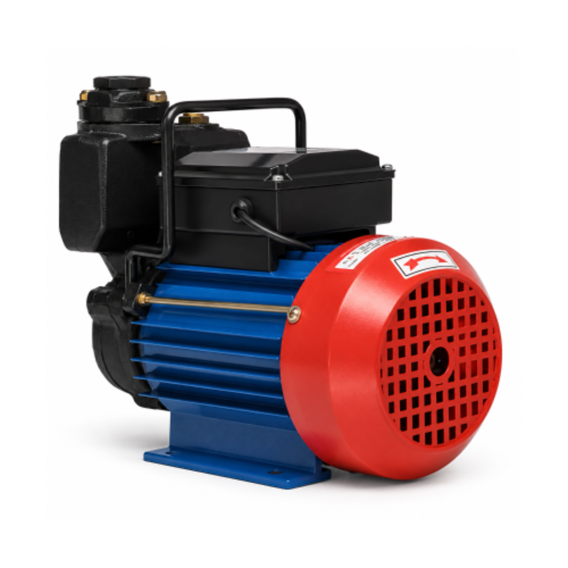 Pumps & Motors